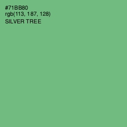 #71BB80 - Silver Tree Color Image