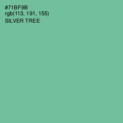 #71BF9B - Silver Tree Color Image