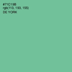 #71C19B - De York Color Image
