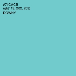 #71CACB - Downy Color Image