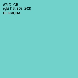 #71D1CB - Bermuda Color Image