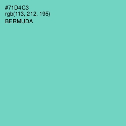 #71D4C3 - Bermuda Color Image