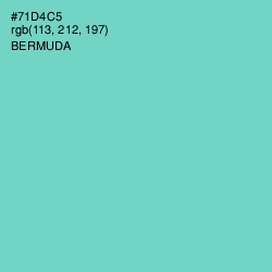 #71D4C5 - Bermuda Color Image