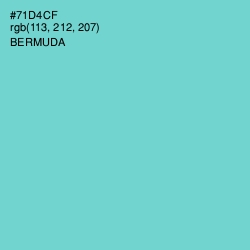 #71D4CF - Bermuda Color Image