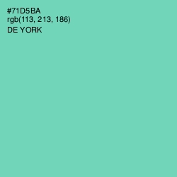 #71D5BA - De York Color Image