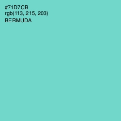 #71D7CB - Bermuda Color Image