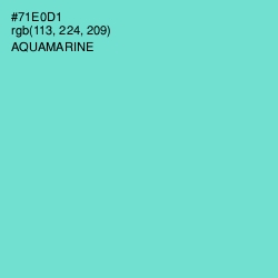 #71E0D1 - Aquamarine Color Image