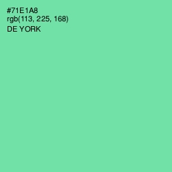#71E1A8 - De York Color Image
