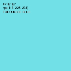 #71E1E7 - Turquoise Blue Color Image