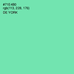 #71E4B0 - De York Color Image