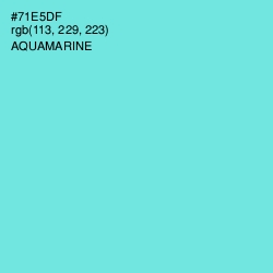 #71E5DF - Aquamarine Color Image