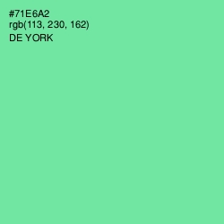 #71E6A2 - De York Color Image