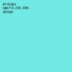 #71E9E4 - Spray Color Image