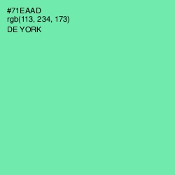 #71EAAD - De York Color Image