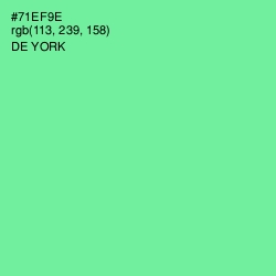 #71EF9E - De York Color Image