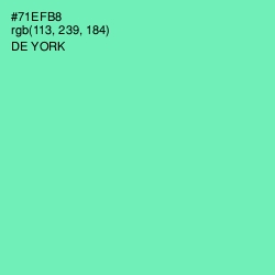 #71EFB8 - De York Color Image