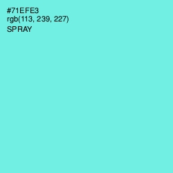 #71EFE3 - Spray Color Image