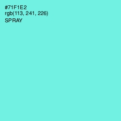 #71F1E2 - Spray Color Image