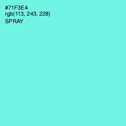 #71F3E4 - Spray Color Image