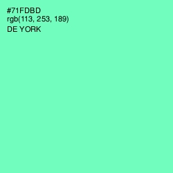 #71FDBD - De York Color Image