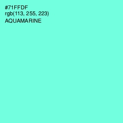 #71FFDF - Aquamarine Color Image