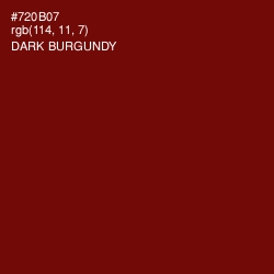 #720B07 - Dark Burgundy Color Image