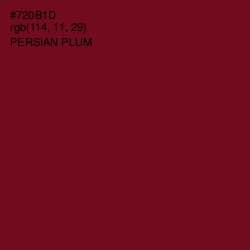 #720B1D - Persian Plum Color Image