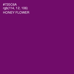 #720C6A - Honey Flower Color Image