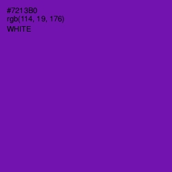 #7213B0 - Purple Color Image