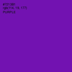 #7213B1 - Purple Color Image