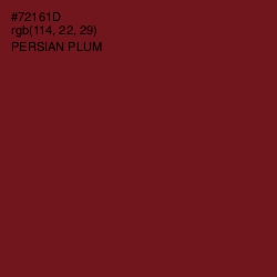 #72161D - Persian Plum Color Image