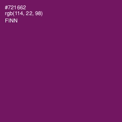 #721662 - Finn Color Image