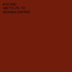 #721D0C - Kenyan Copper Color Image