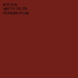 #721E19 - Persian Plum Color Image