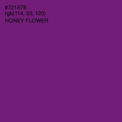 #721E78 - Honey Flower Color Image