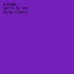 #7220B9 - Royal Purple Color Image