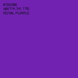 #7222B0 - Royal Purple Color Image