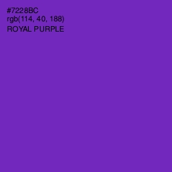 #7228BC - Royal Purple Color Image