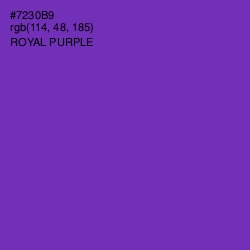 #7230B9 - Royal Purple Color Image