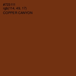 #723111 - Copper Canyon Color Image