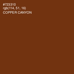 #723310 - Copper Canyon Color Image