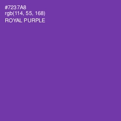 #7237A8 - Royal Purple Color Image