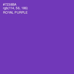 #7238BA - Royal Purple Color Image