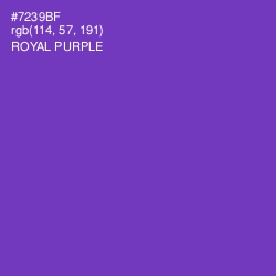#7239BF - Royal Purple Color Image