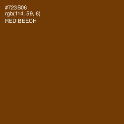 #723B06 - Red Beech Color Image