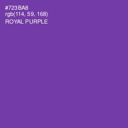 #723BA8 - Royal Purple Color Image