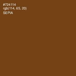 #724114 - Sepia Color Image