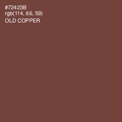 #72423B - Old Copper Color Image