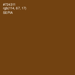#724311 - Sepia Color Image