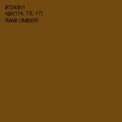 #724811 - Raw Umber Color Image